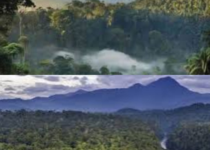 Menemukan Keistimewaan dan Rahasia Gunung Leuser dalam Perjalanan Eksplorasi yang Menakjubkan