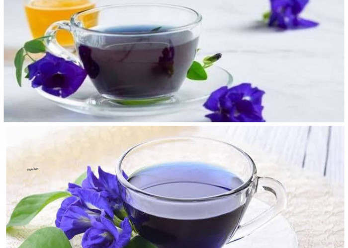 Mengungkap Khasiat Teh Bunga Telang: Minuman Alami dengan Segudang Manfaat untuk Kesehatan Tubuh!