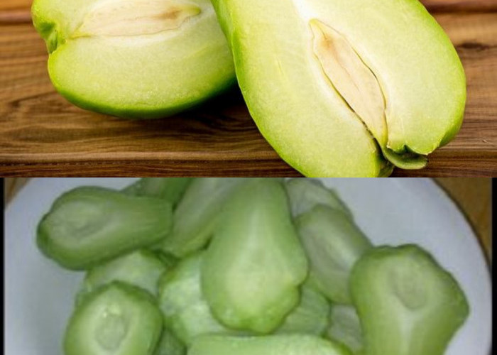 Manfaat Labu Siam untuk Kesehatan serta Nutrisi!