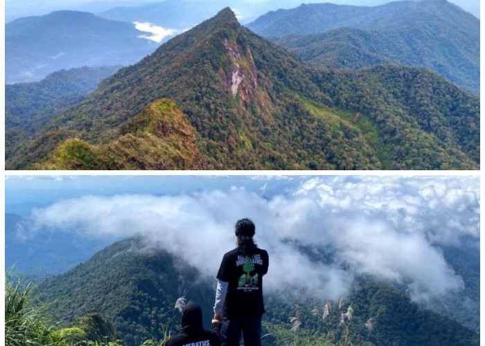 Pesona Gunung Djadi Riau, Ketahui Fakta-fakta Ini Sebelum Kamu Mendaki!