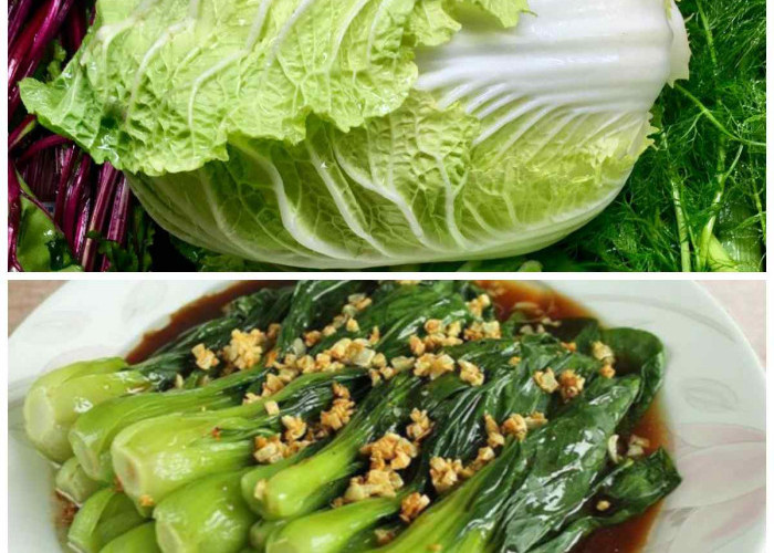 Tips Memasak Sawi Agar Lezat, Tetap Hijau, dan Tanpa Rasa Pahit