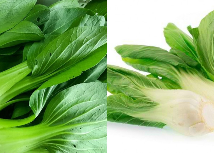Kaya Vitamin dan Mineral, Inilah Manfaat Pakcoy untuk Kesehatan!
