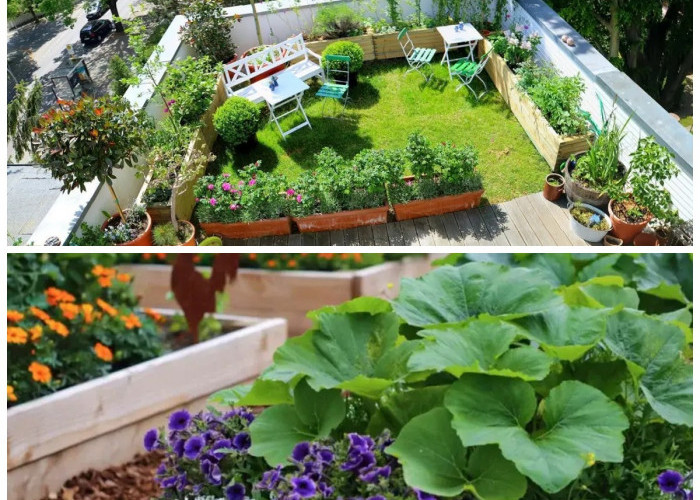 Atap Rumah Lebih Produktif: Inspirasi Kebun Sayur dan Bunga untuk Lahan Terbatas