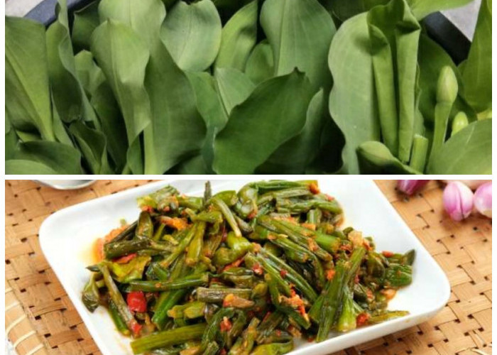 Jarang Diketahui! Ini Deretan Manfaat Sayur Genjer yang Baik untuk Kesehatan Tubuh
