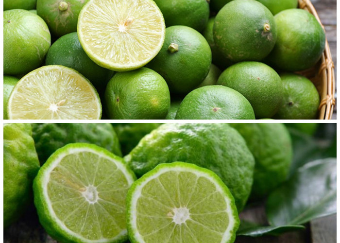 Jeruk Limau dan Segudang Manfaatnya: 8 Khasiat Penting untuk Kesehatan Tubuh