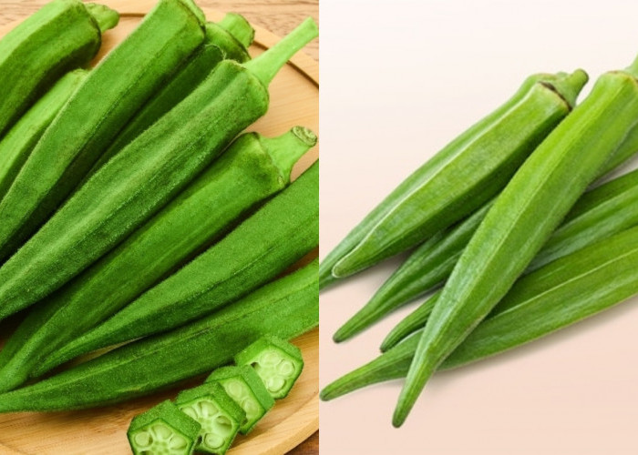 Yuk Ketahui! Manfaat Okra Untuk Kesehatan Tubuh Yang Luar Biasa