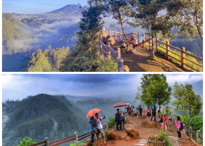 Tempat Hiking Ramah Pemula di Bandung yang Wajib Dikunjungi