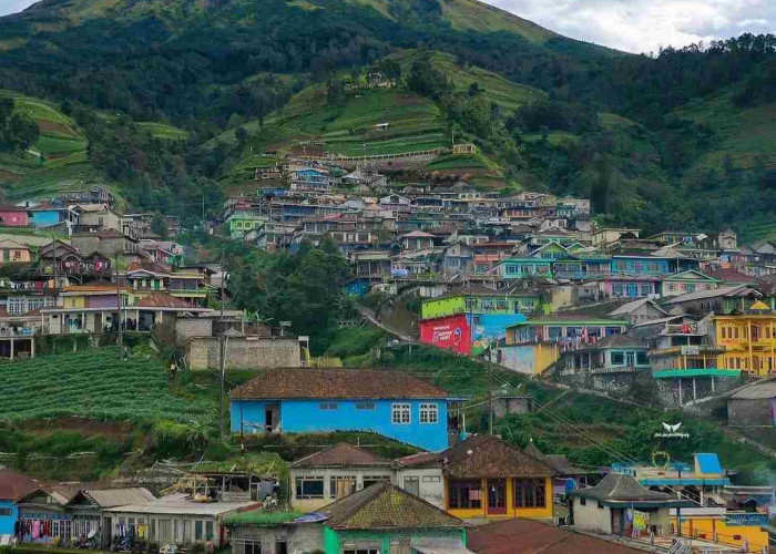 Worth it! 3 Hal yang Harus Kamu Ketahui Tentang Nepal Van Java Sebelum Mengunjungi Desawisata di Magelang Ini