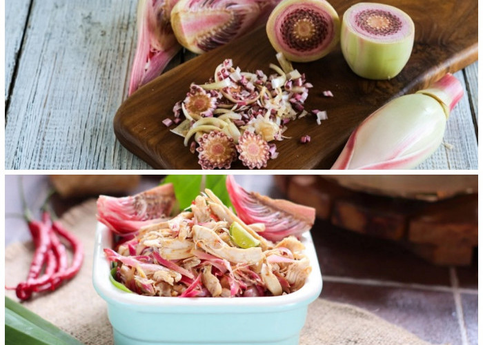 Manfaat Kecombrang: 8 Khasiat Luar Biasa untuk Tubuh yang Sehat dan Bugar