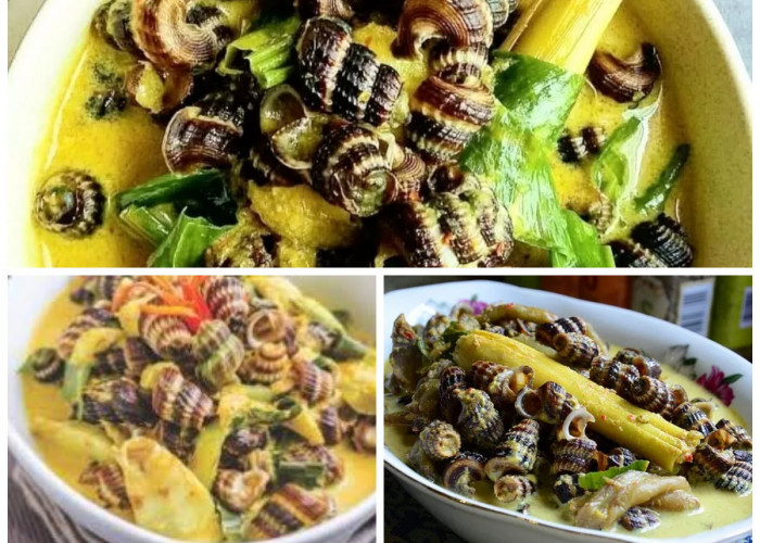 Resep Gulai Siput Liling: Cita Rasa Tradisional Pedesaan yang Gurih, Pedas, dan Penuh Rempah!