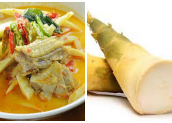 6 Manfaat Rebung dan Cara Mengolahnya