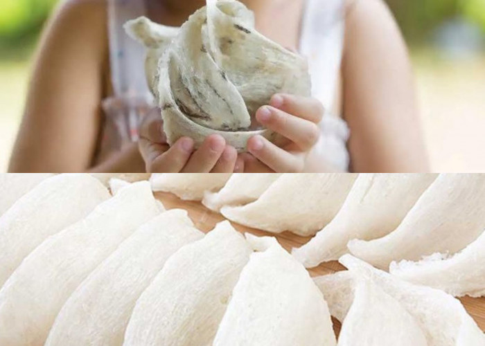 Wajib Pahami! 7 Kegunaan Sarang Burung Walet bagi Ibu Hamil