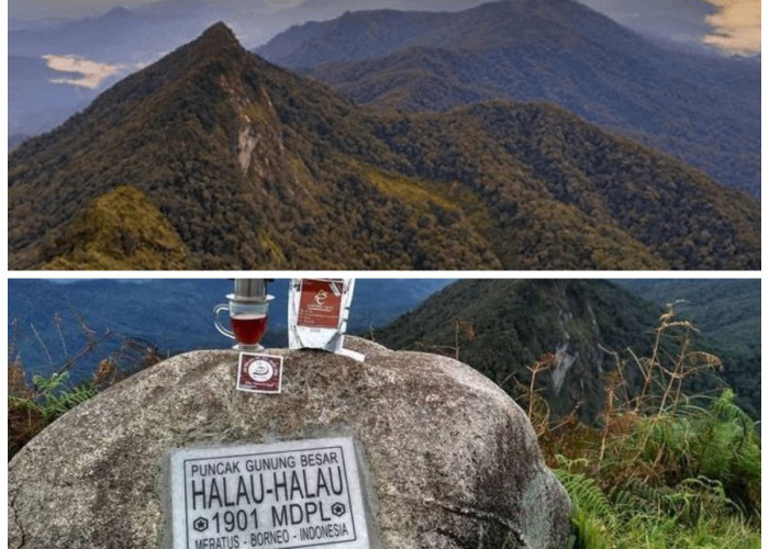 Memahami Sejarah Gunung Halau-Halau: Jejak Alam dan Kearifan Lokal Pegunungan Meratus!