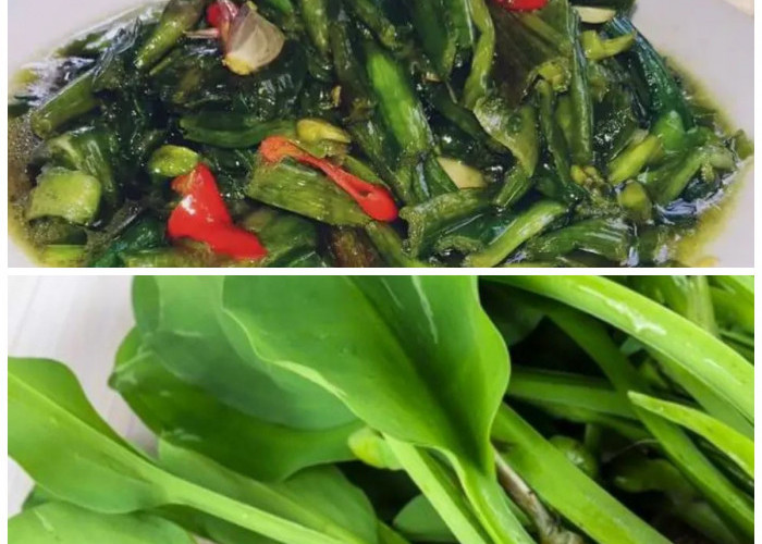 Genjer: Sayuran Tradisional dengan 8 Manfaat Kesehatan yang Mengejutkan!