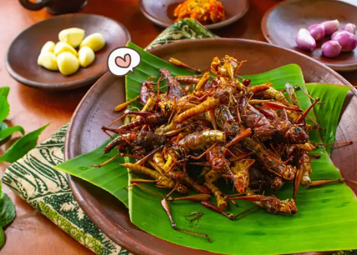 Belalang Goreng, Protein Tinggi yang Bikin Sehat! Mau Coba?