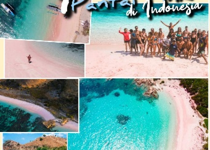 Waduuh, Ada Pantai Pink di Indonesia, Lokasinya di 7 Pesisir Pulau Ini