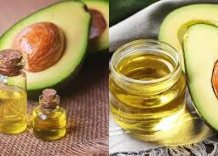 Jarang Diketahui Inilah Manfaat Minyak Alpukat Untuk Kesehatan Tubuh!