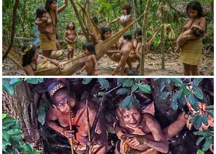 Suku Mante: Sejarah dan Keberadaan Suku Tertua di Aceh yang Menyimpan Banyak Misteri