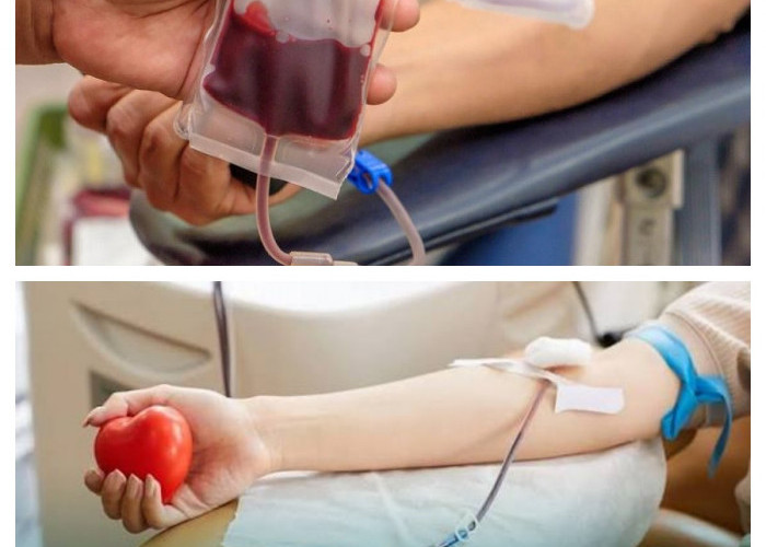 7 Alasan Donor Darah Bermanfaat bagi Kesehatan Tubuh