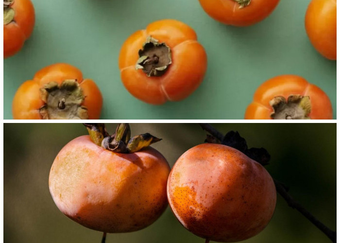 Tak Hanya Manis, Ini Deretan Manfaat Buah Kesemek bagi Kesehatan dan Kecantikanmu!