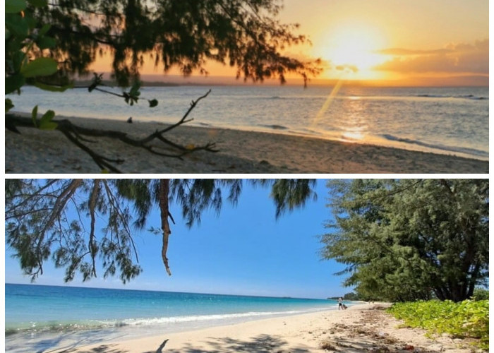Pantai Puru Kambera, Eksotisme Pantai Terpanjang di Sumba Timur dengan Dihiasi Pohon Cemara yang Menyejukkan