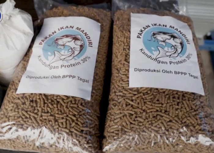 Pembudidaya Diajak KKP Manfaatkan Bahan Baku Lokal Jadi Pakan Ikan Mandiri