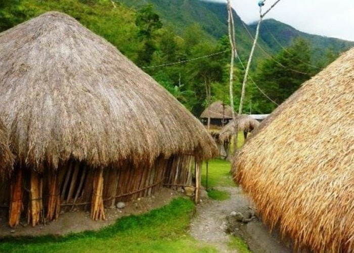 Tak Hanya Miliki Bentuk Unik, Ternyata 3 Rumah Adat Suku Papua Juga Miliki Filosofi yang Sangat Berarti