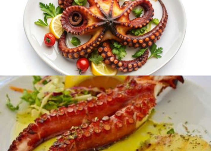 Gurita, Memahami Nutrisi dan Keuntungannya bagi Kesehatan!