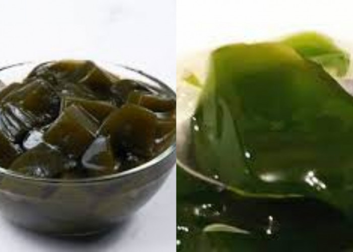 Yuk Intip! 5 Manfaat Cincau Hijau Untuk Kesehatan Tubuh Yang Luar Biasa