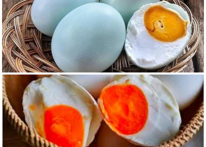 Rahasia Telur Bebek: 5 Manfaat Luar Biasa untuk Kesehatan, Termasuk Penangkal Anemia!