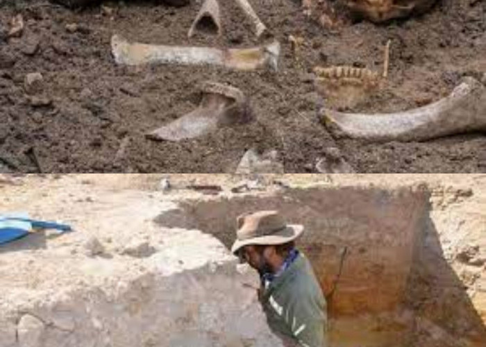 Inilah Bukti Peradaban Manusia Purba di Ukraina yang Ditemukan Para Arkeolog 