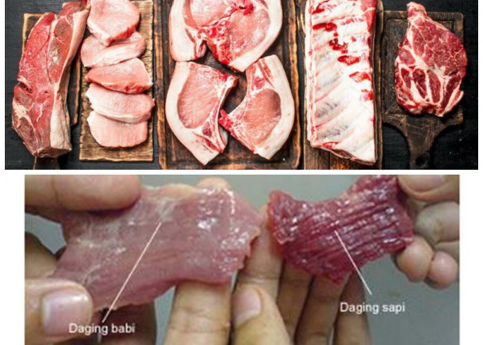 5 Tips Jitu Membedakan Daging Sapi dan Daging Babi: Hindari Kesalahan Saat Belanja