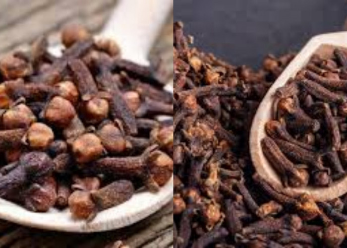 Yuk Kenali 8 Manfaat Cengkih untuk Kesehatan Tubuh Yang Harus Kalian Tahu!