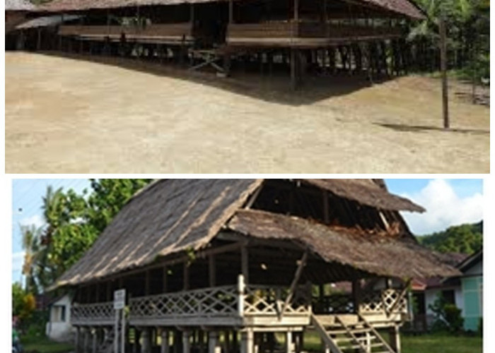 Rumah Baileo: Warisan Budaya dan Kearifan Lokal Masyarakat Maluku yang Menyatu dengan Alam