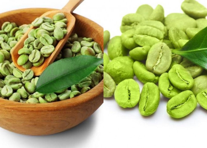 Kamu Harus Tahu Teryata Ini Guys Manfaat Green Coffee Untuk Kesehatan Dan Diet Yang Luar Biasa! 