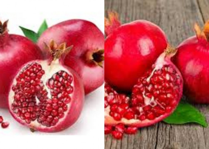 Yuk Ketahui! Inilah Manfaat Buah Delima Untuk Kesehatan Yang Jarang Diketahui