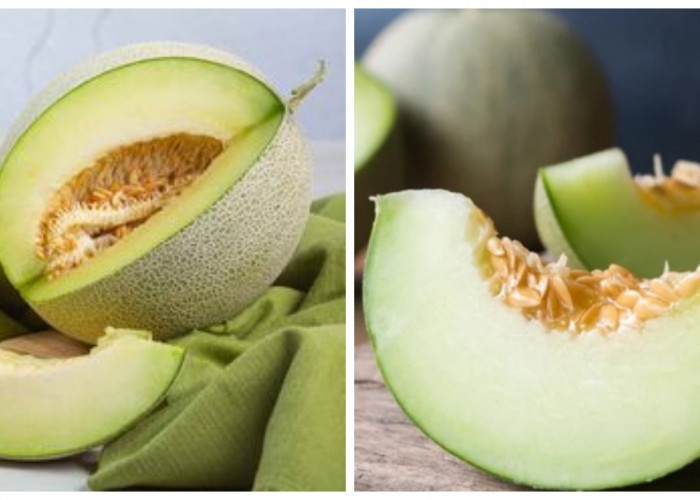 Mengapa Melon Adalah Pilihan Buah Sehat: Manfaatnya untuk Kesehatan Anda