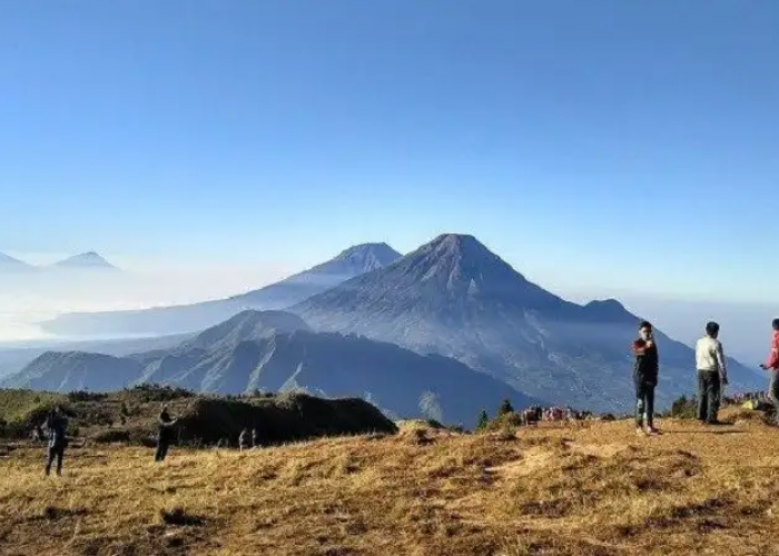 Ingin Menyaksikan Pemandangan Menakjubkan? Gunung Sindoro Menanti Kamu!