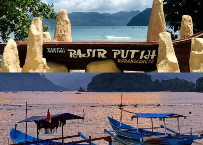 Mengapa Pantai Pasir Putih Trenggalek Jadi Destinasi Wisata Pantai Terbaik? Ini Alasannya!