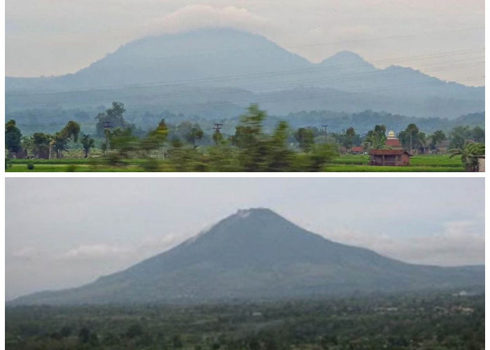 Gunung Pandan: Sejarah dan Mitos di Balik Tanaman Pandan yang Mempesona