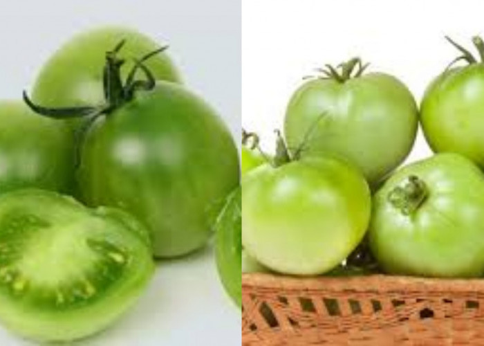 Yuk Ketahui! 7 Manfaat Tomat Hijau Untuk Kesehatan Jika Dimakan Setiap Hari