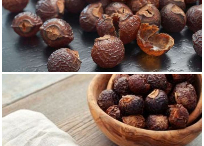 Buah Lerak dan Keajaiban Alaminya: Rahasia Tradisional untuk Kecantikan Kulit dan Rambut