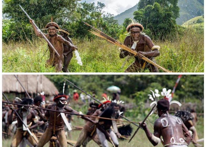 Kearifan Budaya Suku Dani di Lembah Baliem Papua: Menelusuri Tradisi dan Kehidupan Sehari-hari yang Menarik