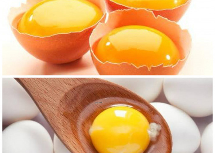 Manfaat Kuning Telur Ayam Kampung untuk Tubuh, Bernutrisi tetapi Jangan Berlebihan