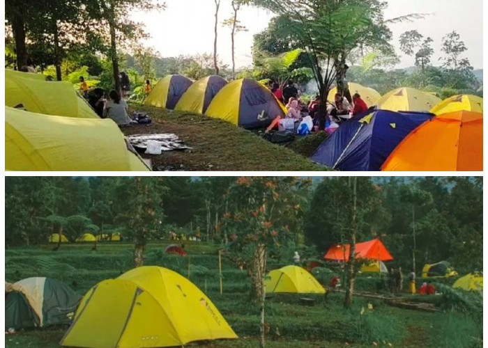 Mempesona! Eksplorasi Wisata di Bukit TengTung Baturaden di Purwokerto yang Jadi Tempat Favorit Untuk Healing