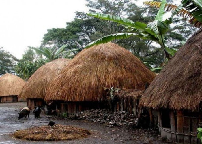 Kamu Harus Tau! Inilah 3 Rumah Adat Suku Papua yang Miliki Filosopi Sejarah yang Unik