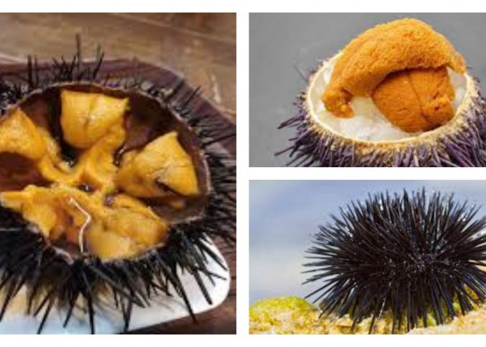 Bulu Babi, Pelajari Nutrisi dan 6 Keuntungannya untuk Kesehatan