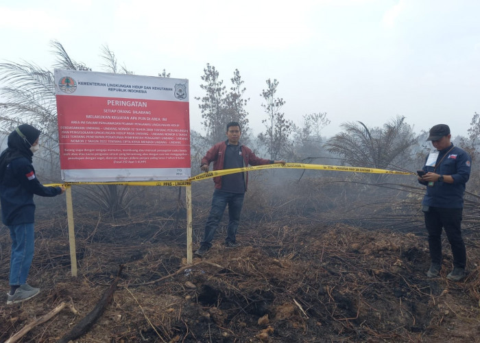 Ribuan Hektar Lahan Perusahaan yang Terbakar di Sumsel di Segel KLHK