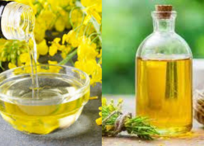 Yuk Simak! Inilah Manfaat Minyak Kanola Untuk Kesehatan Keluarga Yang Luar Biasa