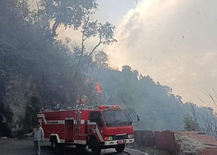 Liku Endikat di Pagar Alam Terbakar, Ancam  Keselamatan Pengemudi Kendaraan